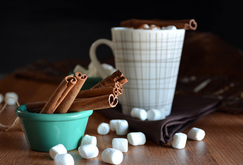 Cup of hot chocolate with marshmallows