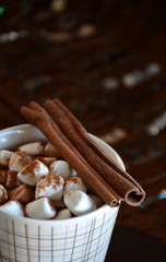 Fototapeta na wymiar Cup of hot chocolate with marshmallows