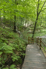 Fototapeta na wymiar Footbridge wooden path in the woods.