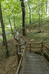 Footbridge wooden path in the woods.
