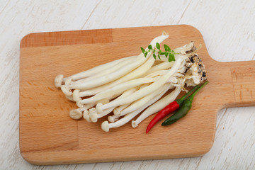 Japanese mushroom - enoki
