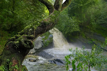 Abwaschbare Fototapete Dschungel Thailand-Dschungel mit Wasserfällen