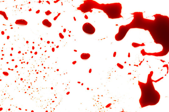 Halloween concept : Blood splatter on white background .