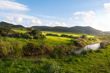 Obraz premium small creek in a green filed in Sardinia