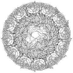 Contoured Line flowers