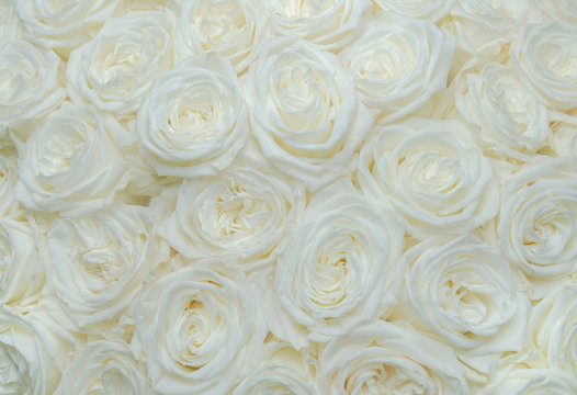 Bouquet white rose