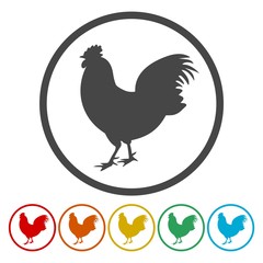 Chicken icon, vector chicken silhouette