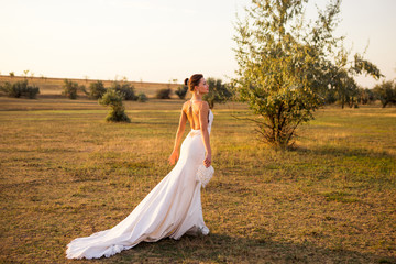 Fototapeta premium Bride in dress with a long train