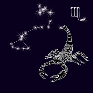 The constellation Scorpius. White scorpion, zodiac sign. Tattoo. Made with a predominance of white on a dark background. illustration