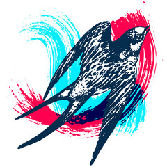 Naklejki  Vector hand drawn swallow bird illustration with paint texture on background. Flying swift detailed sketch, beautiful animal in the wild
