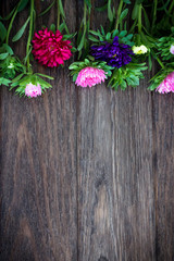 Aster flowers on wooden background. Layout with free text space