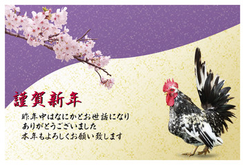 年賀状テンプレート　2017年