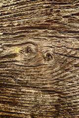 face in wooden background (42)