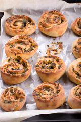 Cheese bun rolls with herbs