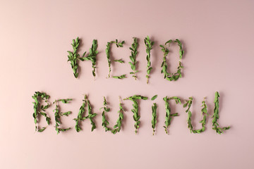 words hello beautiful made with green branches on pink background. flat lay, top view