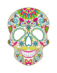 Zentangle stylized color Skull for Halloween. Freehand sketch fo