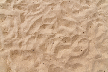 Sandy beach background texture