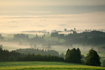 Foggy Landscape of Fields and Forests at Sunrise, Bavaria, Germany