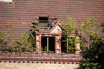 Chirurgie - Detail: Dachfenster - Ruine Beelitz-Heilstätten - Potsdamm-Mittelmark 2016 