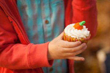 Sweet cupcake in a boy's hand