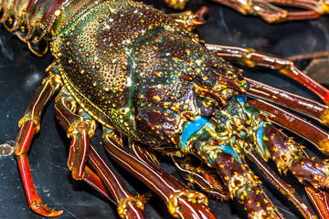 Langouste
Langouste de la Réunion