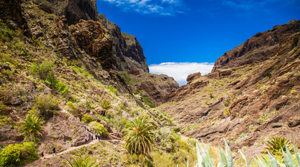 aerial view of the canyon Masca
