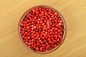 Lingonberry (Vaccinium vitis-idaea)