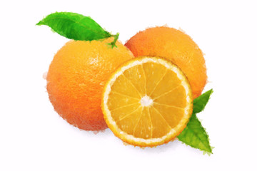 Drawn watercolor orange painting on white background. Illustration of fruit orange with leaves