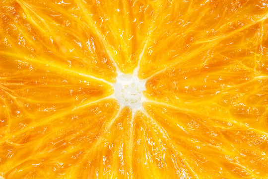 Fresh Orange Closeup