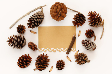 pine cones and blank card on white background