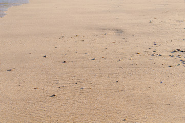 Sea shore and sandy beach with stone