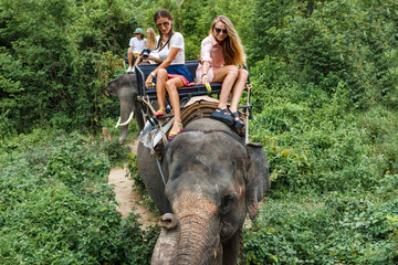 Fototapeta premium Young tourists go elephant trekking in the jungle 
