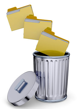 Folder in the Trash - 3D