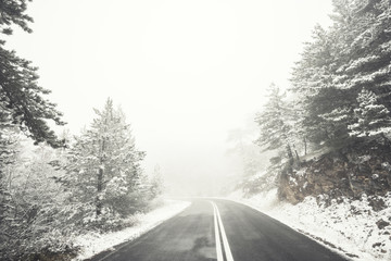Snowy road. Winter Landscape
