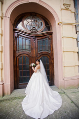 Beautiful bride in amazing white dress with bouquet