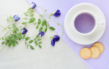 A cup of herbal butterfly-pea flower tea (Asian pigeonwings) good for hair care, memory enhancer anti-stress antiinflammatory and antioxidant