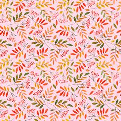 floral seamless pattern with rowan and branches.watercolor hand drawn illustration.pink background.