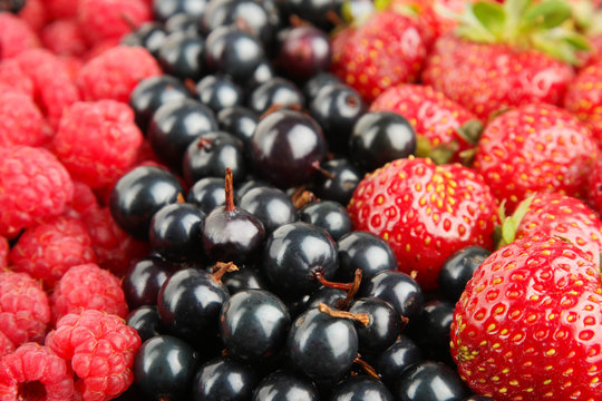Mix of different berries