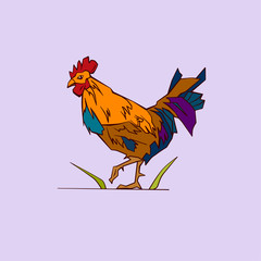 illustration of a rooster 