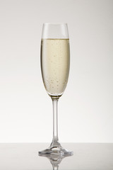White sparkling wine in a champagne flute.