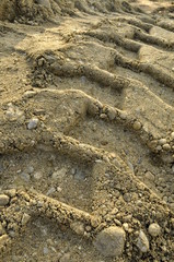 wheel tractor tracks on sand