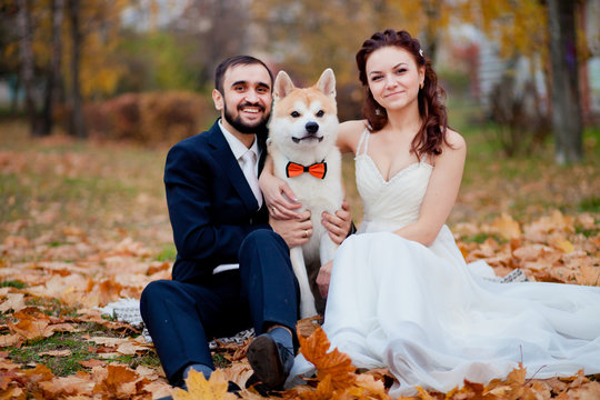 Charming happy wedding couple with cute hasky