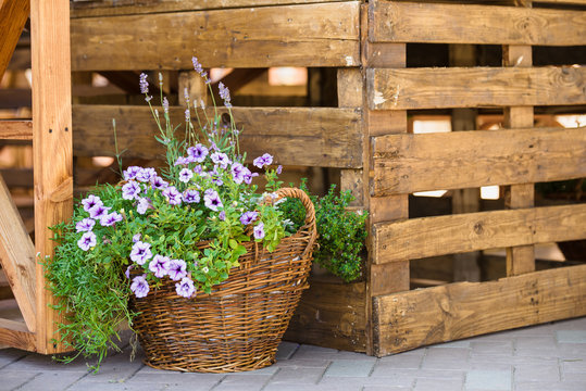 Wicker basket with flowers in the garden