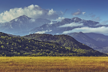 Fototapeta premium Idyllic summer landscape with golden ripe cornfield and Bucegi mountains at the horizon in Transylvania region, Romania.