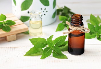 Basil essential aroma oil, fresh green plant leaves, aromalamp. 
