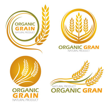 Gold circle paddy rice organic grain products and healthy food banner sign vector set design