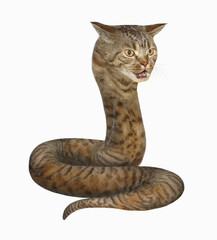 A cat looks like a big hairy snake on the white background.