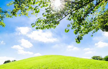 陽光がそそぐ緑の丘