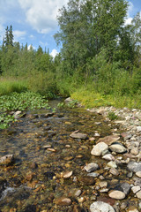 Forest stream in the National Park Yugyd VA.
