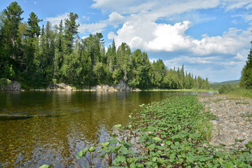 The object of UNESCO world heritage site Virgin Komi forests.